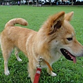 DSC01337.JPG