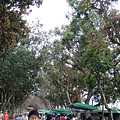 DSC01340.JPG
