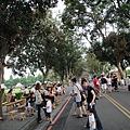 DSC01342.JPG
