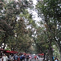 DSC01343.JPG