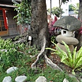 DSC01270.JPG