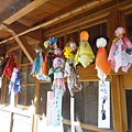 DSC01254.JPG
