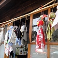 DSC01241.JPG