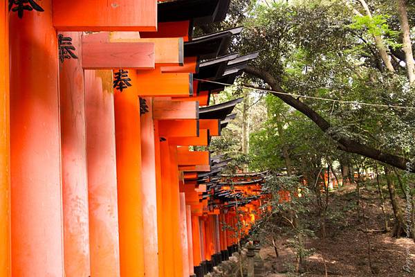 日本五天四夜自由行大阪京都岡本和服體驗清水寺伏見稻禾