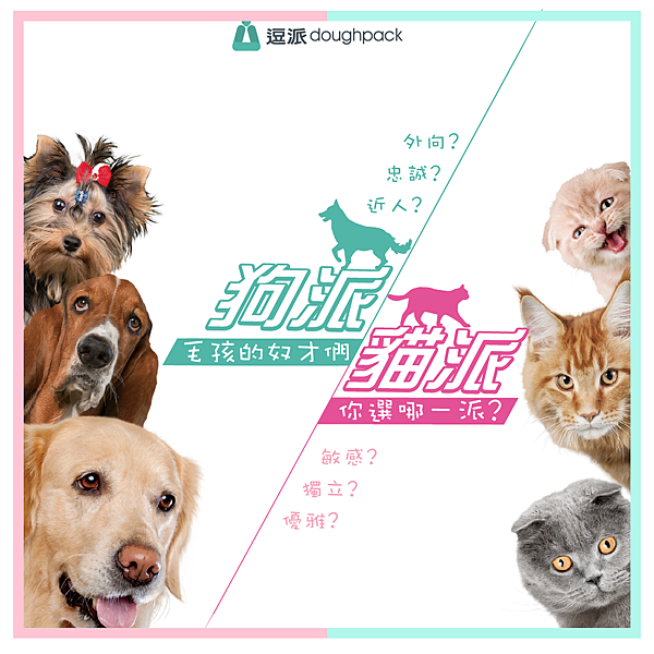 逗pay 逗派