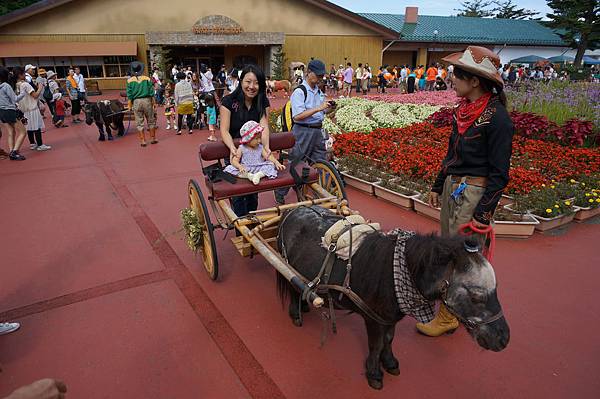 還可以坐小馬車 無料的唷