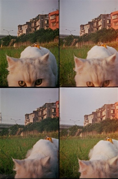 34550019.JPG 34550019.JPG