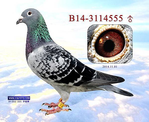2014112821103403pic 2014112821103403pic
