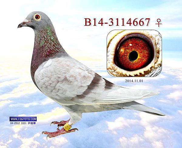 2014112821150556pic 2014112821150556pic
