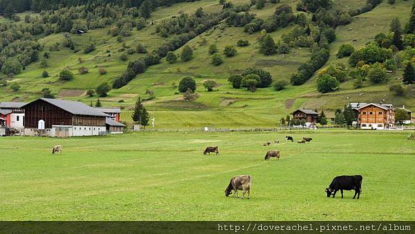 08.Andermatt-Zermatt(冰河特快)061+