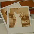 PX600UV_24.jpg