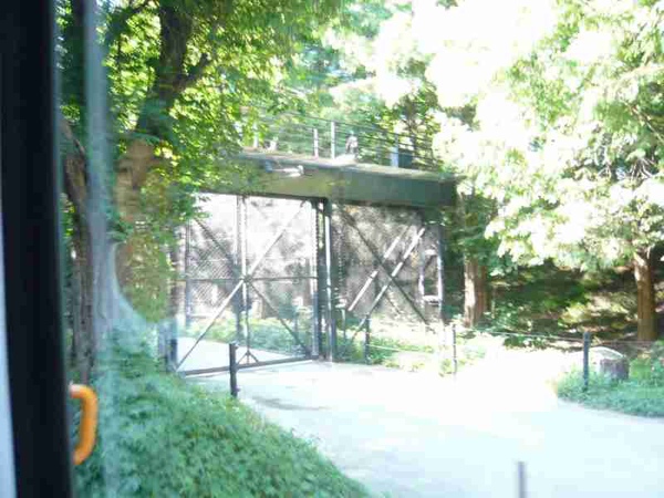 野生動物園柵欄
