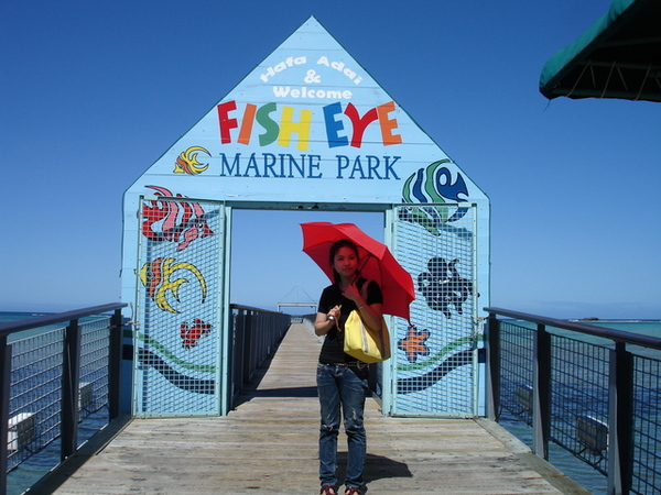 魚眼海洋公園FISH EYE MARINE PARK