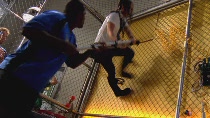 Chuck.S02E03.HDTV.XviD-LOL.avi4285.jpg Chuck.S02E03.HDTV.XviD-LOL.avi4285.jpg