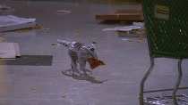 Chuck.S02E04.HDTV.XviD-LOL.avi4339.jpg Chuck.S02E04.HDTV.XviD-LOL.avi4339.jpg