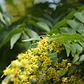 DSC09404.JPG