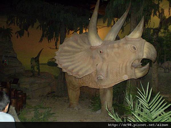 1108動物園+貓纜0032.jpg