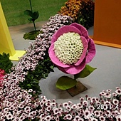 2011花博0020.jpg