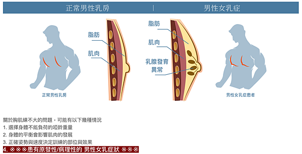 螢幕快照 2019-08-16 下午3.13.20.png