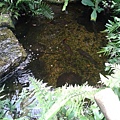 20120921_143611.jpg