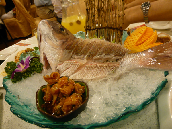 生魚片 & 螺肉