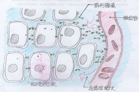 細胞淹水.jpg