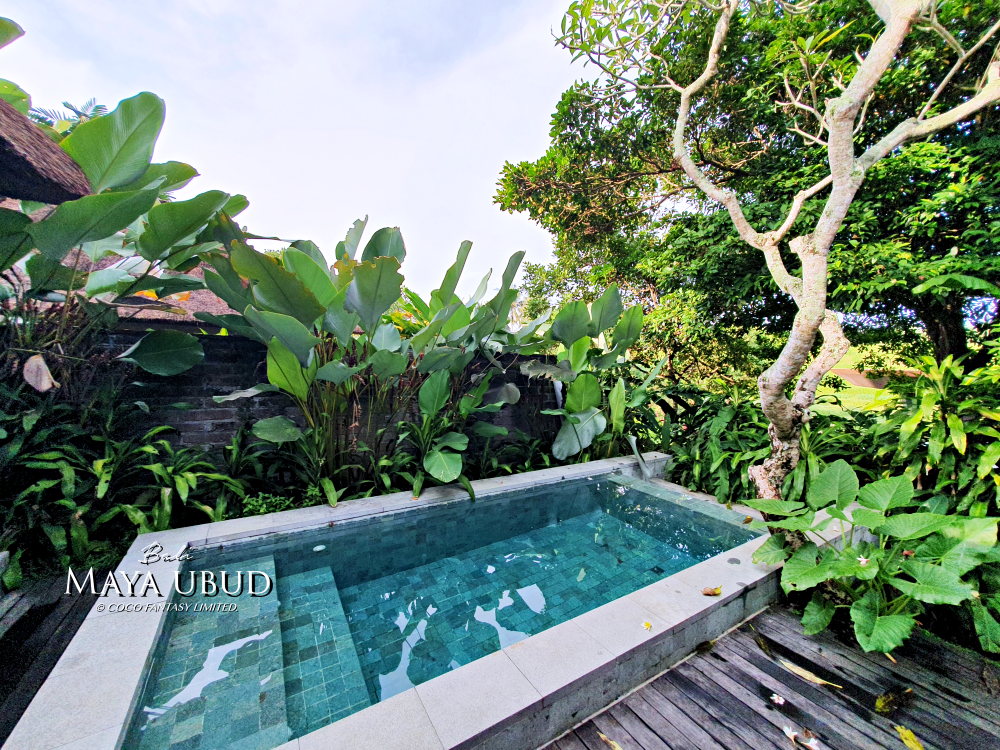 峇里島 | 烏布 | Maya ubud - Heavenl