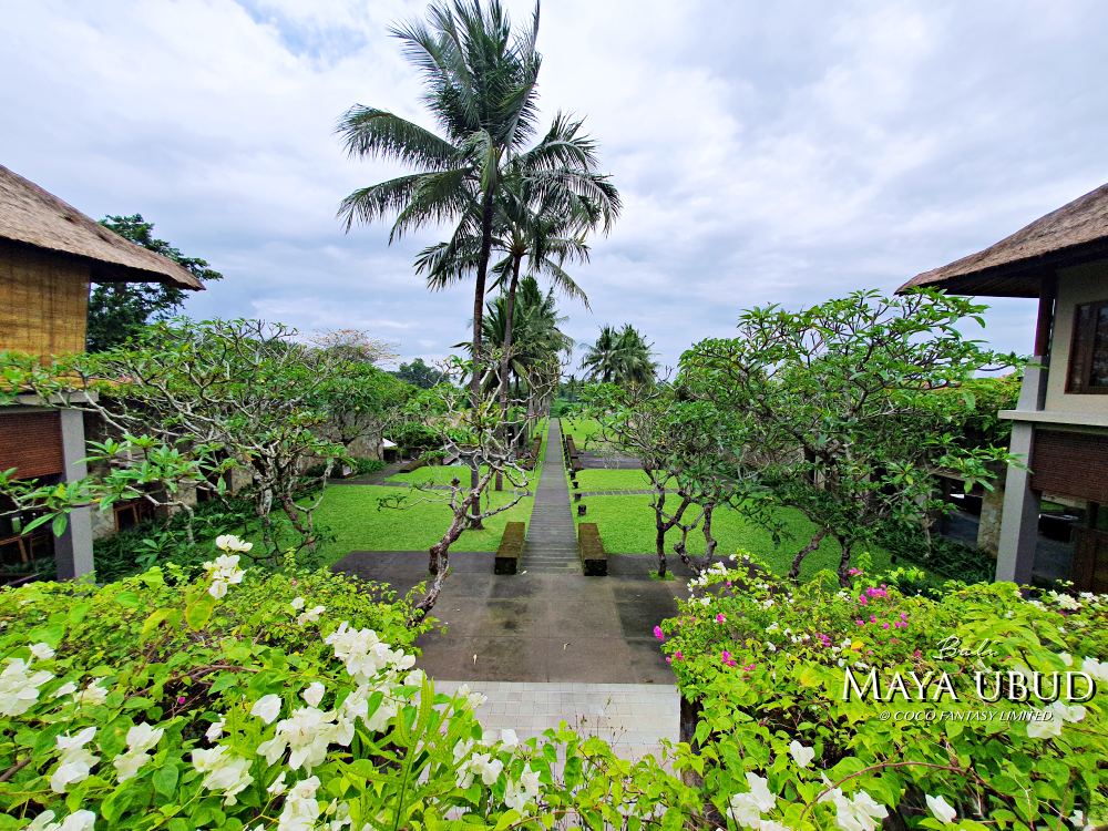 峇里島 | 烏布 | Maya ubud Resort&Sp