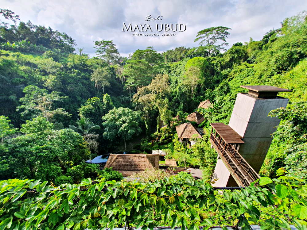 峇里島 | 烏布 | Maya ubud Resort&Sp