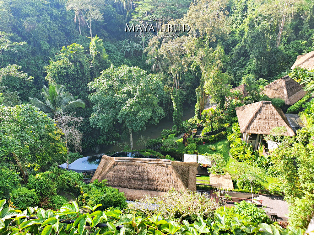 峇里島 | 烏布 | Maya ubud Resort&Sp