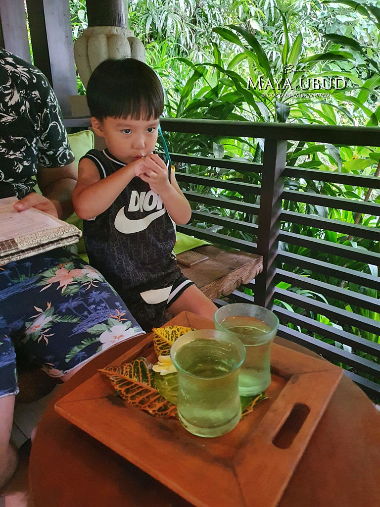 峇里島 | 烏布 | Maya ubud - 叢林河流前的玫