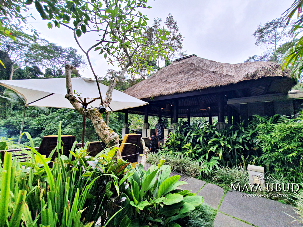 峇里島 | 烏布 | Maya ubud - 叢林河流前的玫