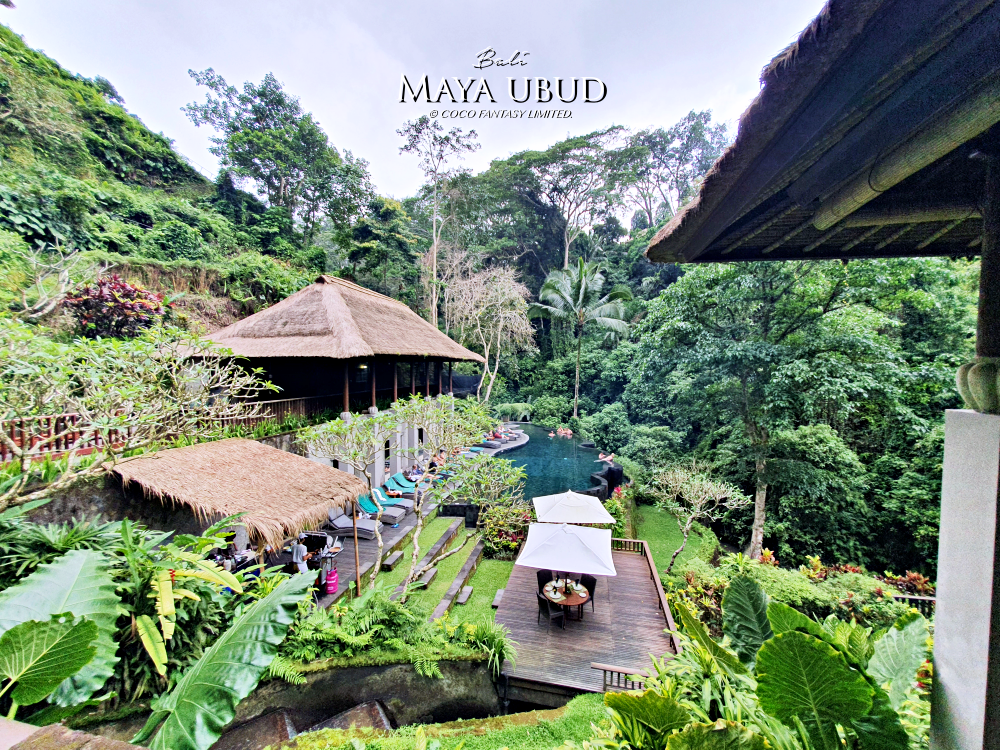 峇里島 | 烏布 | Maya ubud - 叢林河流前的玫