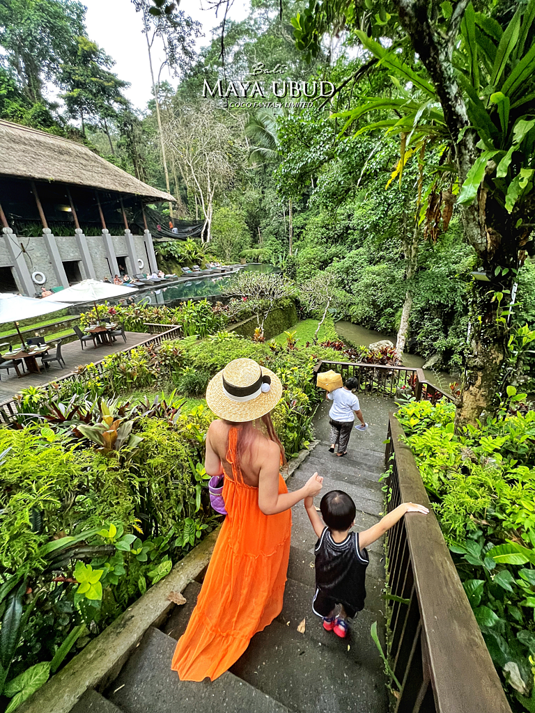 峇里島 | 烏布 | Maya ubud - 叢林河流前的玫