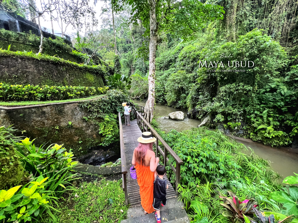 峇里島 | 烏布 | Maya ubud - 叢林河流前的玫