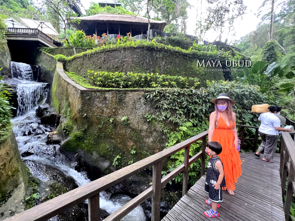 峇里島 | 烏布 | Maya ubud - 叢林河流前的玫