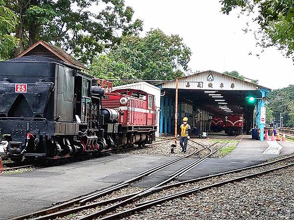 61011390_2919524958087479_6760540203376443392_n_副本