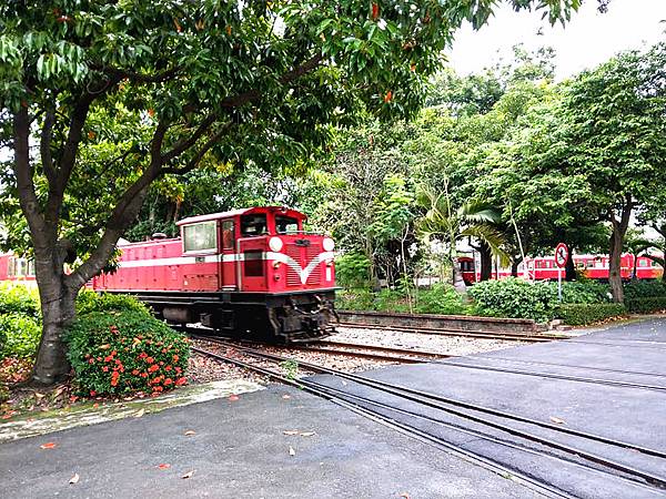 61336193_2919525241420784_1235612213603991552_n_副本