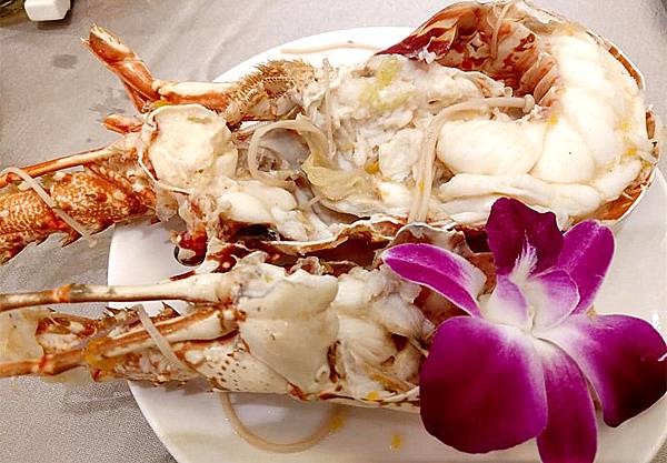 67436780_3103700806336559_2815100988057190400_n_副本