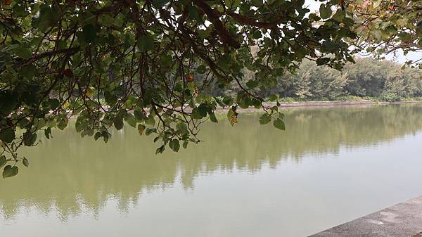 /tmp/phpeXwRFV /tmp/phpeXwRFV