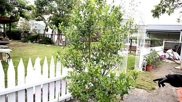 /tmp/phpP4GqbP /tmp/phpP4GqbP