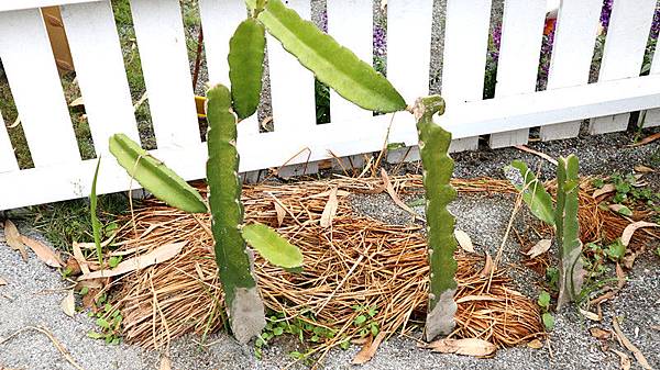 /tmp/phprr0OTE /tmp/phprr0OTE