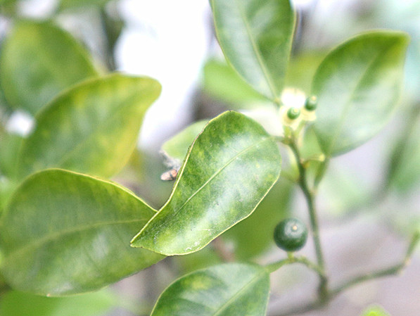 /tmp/phpAFunSG /tmp/phpAFunSG