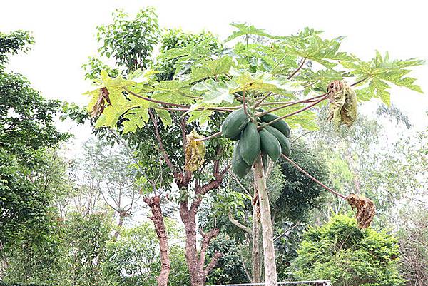 /tmp/phpvh27PT /tmp/phpvh27PT