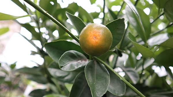 /tmp/phpMhI6SL /tmp/phpMhI6SL