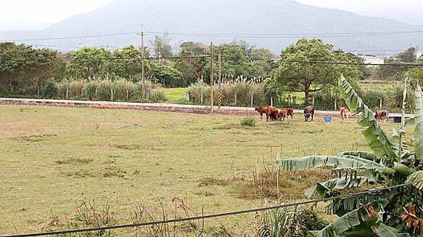 /tmp/phpcqFgpD /tmp/phpcqFgpD