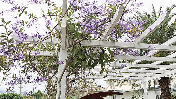 /tmp/phpOlXPrZ /tmp/phpOlXPrZ