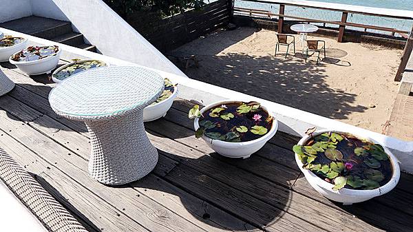 IMG_1098_副本 IMG_1098_副本