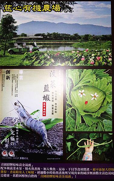 IMG_0742_副本 IMG_0742_副本