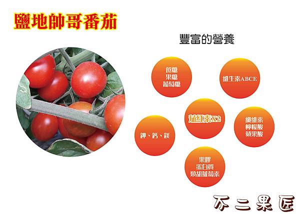 鹽地帥哥番茄3-011